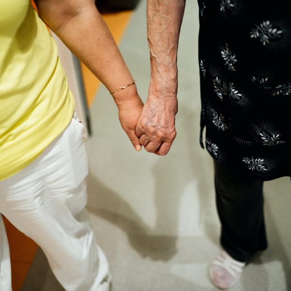 willhaus-stock-photo (8)